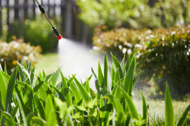24/7 Emergency Mosquito Control experts in Medina, NY